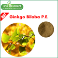 Flavonas naturales 24% extracto de hoja de Ginkgo Biloba